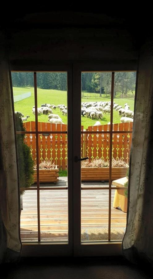Otulina * Zakopane